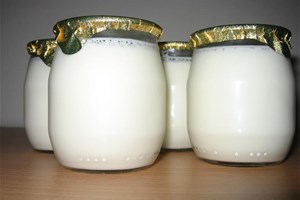 Yaourts pots en verre