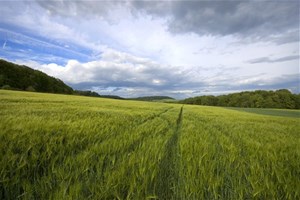 Agriculture biologique