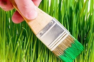 Eco-blanchiment