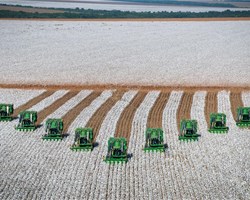 Moissonneuses alignées dans champs