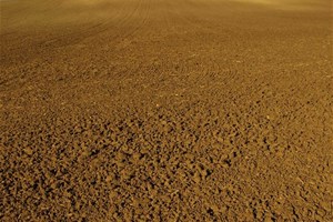 Terre sèche