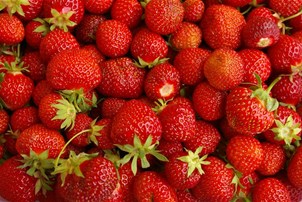 Fraise