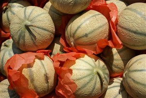 Melon