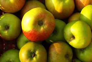 Pomme