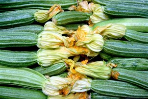 Courgette
