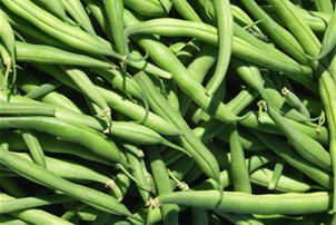 Haricot vert
