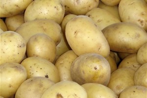 Patate de pommes de terre et légumes avec motif amusant Débardeur