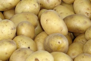Pomme de terre