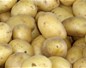 Pomme de terre