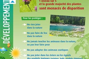 Affiche développement durable préserver nature