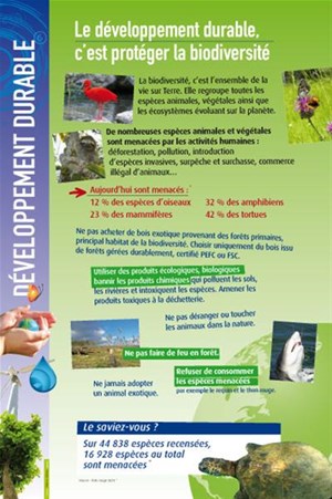 Affiche développement durable protection biodiversité