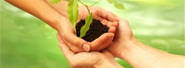 Conseil développement durable
